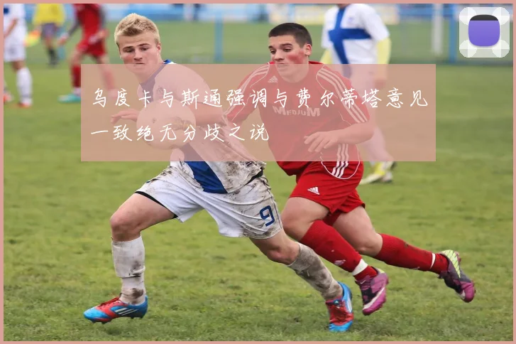 乌度卡与斯通强调与费尔蒂塔意见一致绝无分歧之说